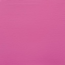 ACRILICO 120ML ROSA QUINA CL