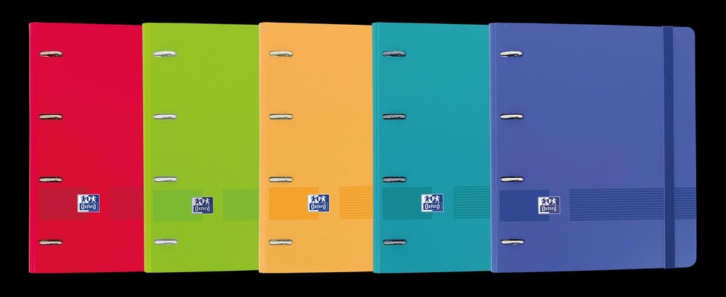 AGENDA 25 INGEN.S/V MINI MALVA