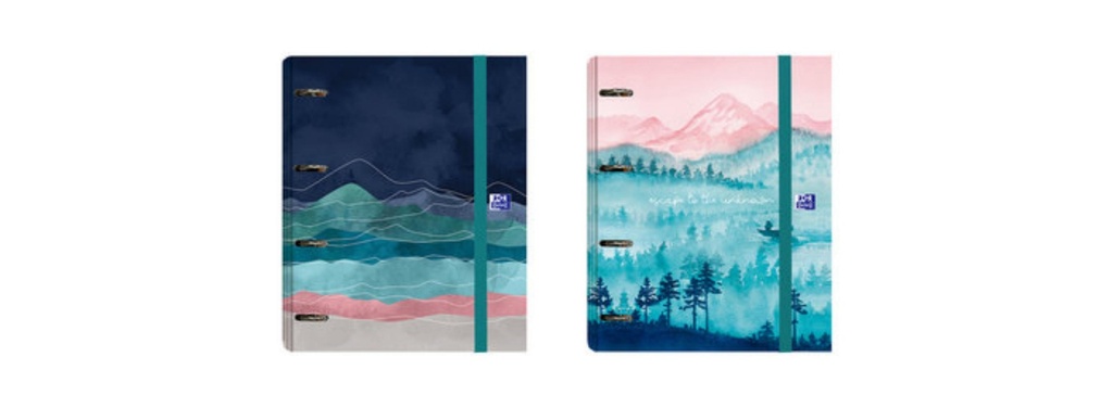 AGENDA D.P. E10 AZUL 2025