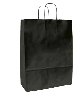 BOLSA ASA 18*25 NEGRO 91101518