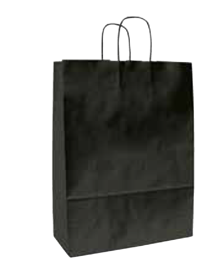 BOLSA ASA 32*42 NEGRO 91101534