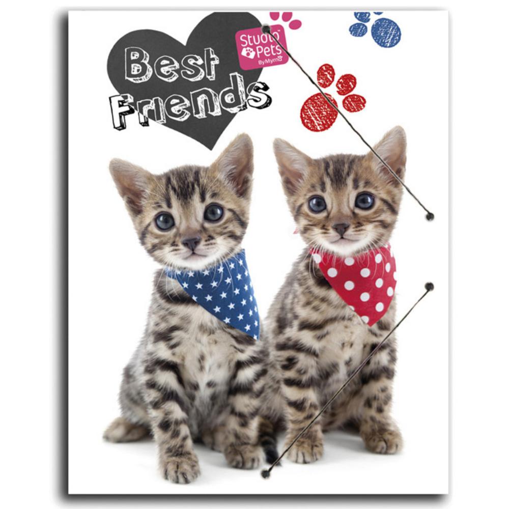 CARPETA PP A4 STUDIO PETS CAT