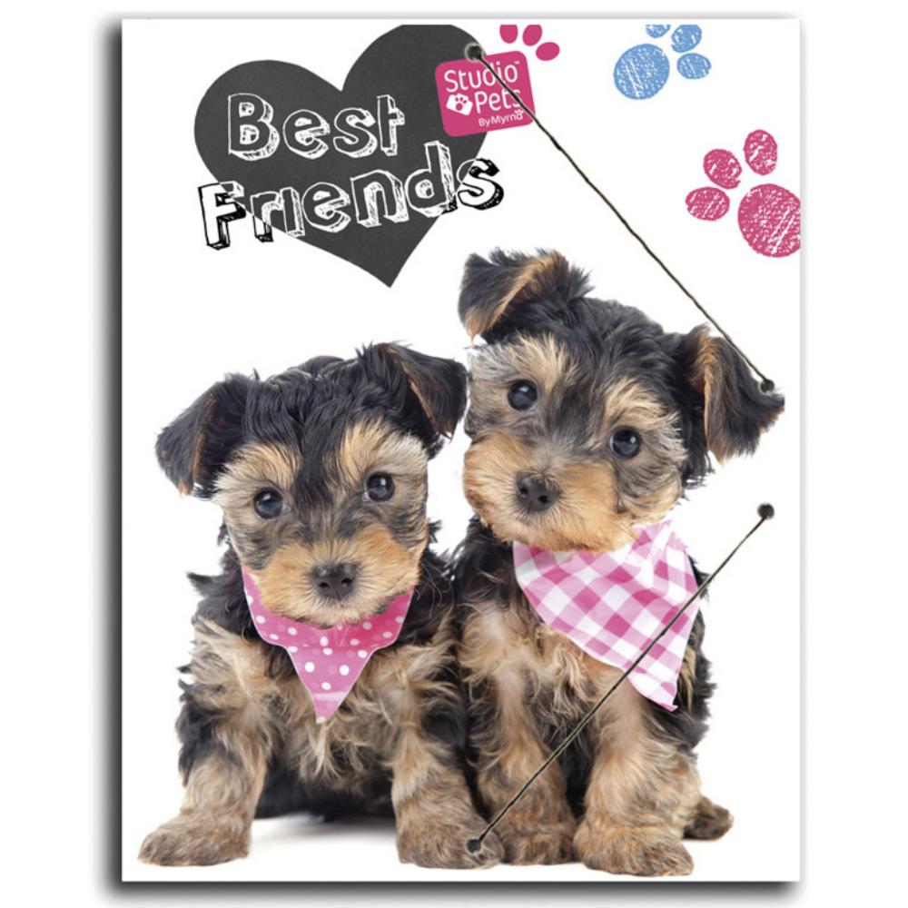 CARPETA PP A4 STUDIO PETS DOG