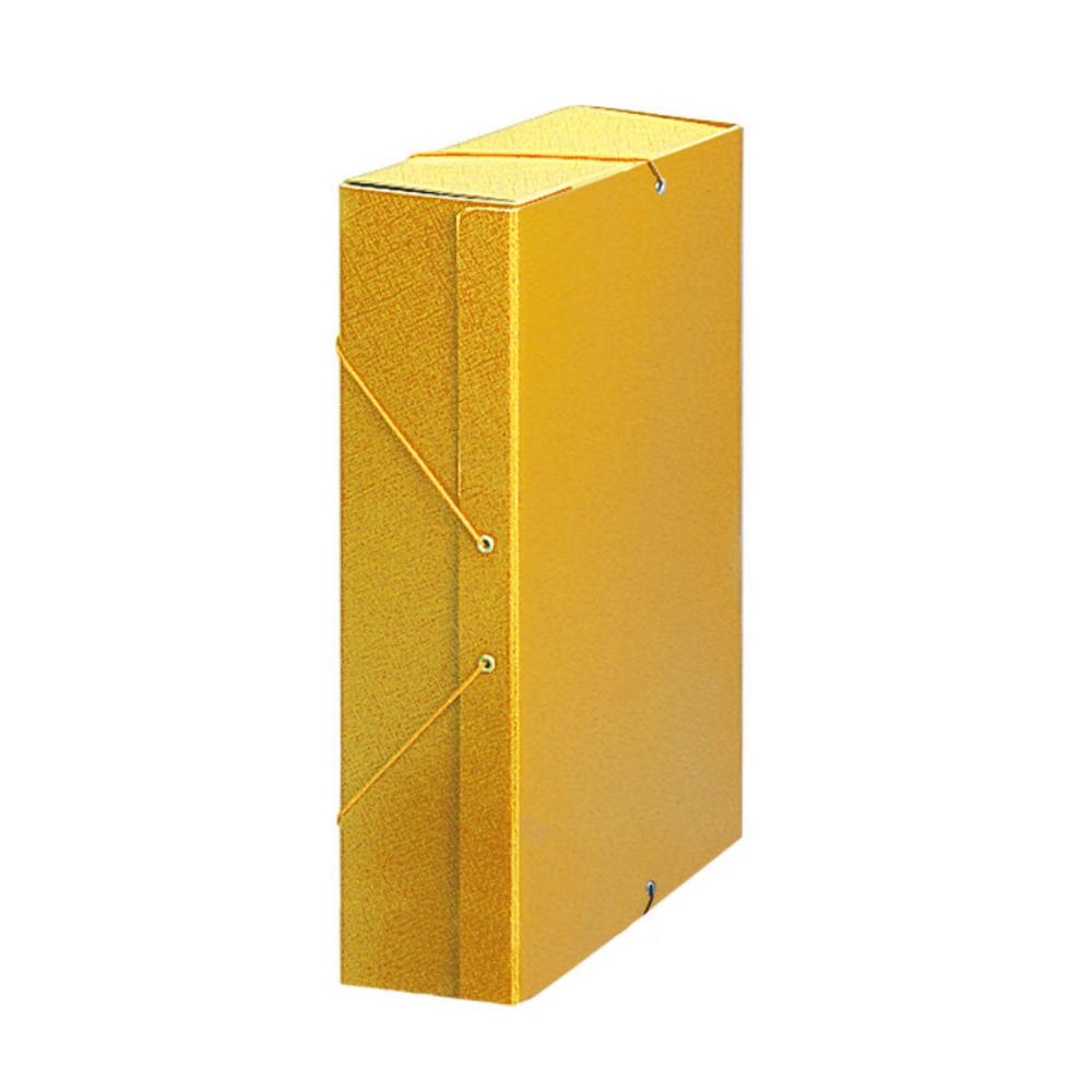 CARPETA PROYECTO KARMAN CARTON LOMO 90MM AMARILLO