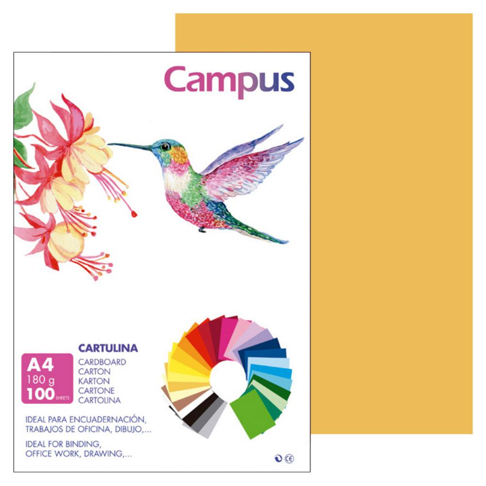CARTULINA A4 MAKRO CUERO 180G 100UD