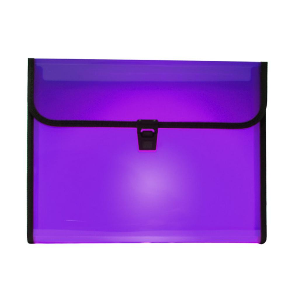 CLASIFICADOR PP.12DEP.BROCHE TRANS.VIOLETA