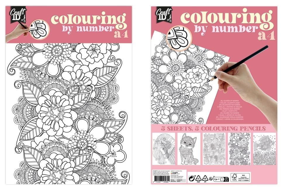 COLOUR BY NUMBER A4 CR5006/GE