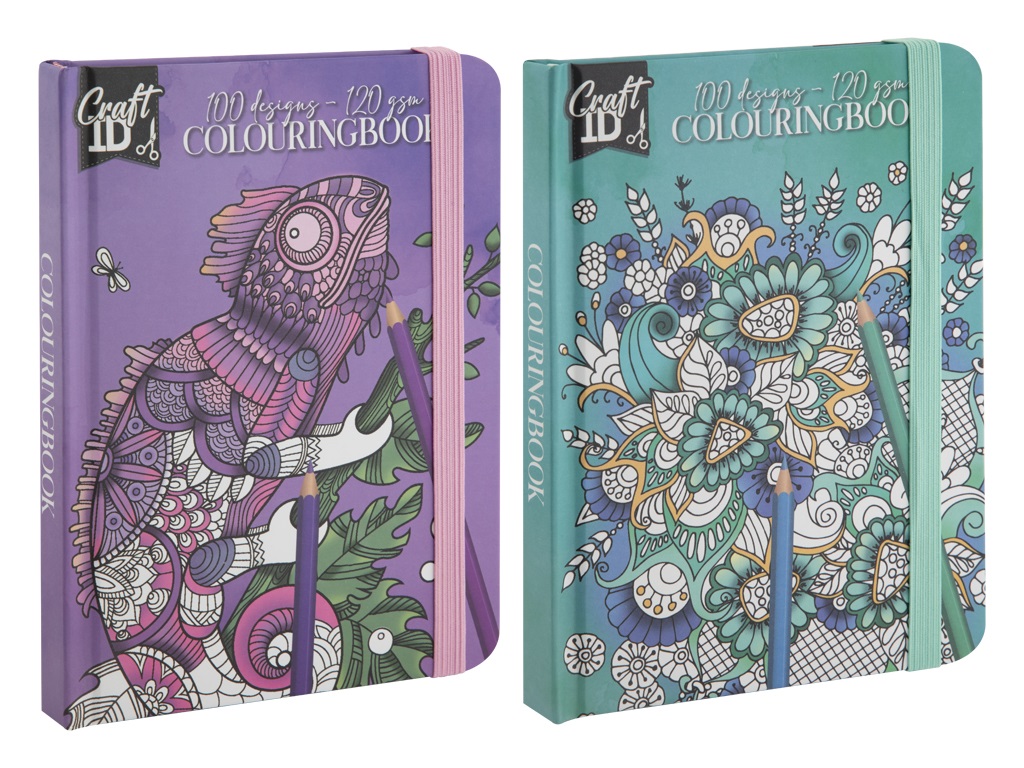 LIBRO COLOREAR 12X16CM 50H 120GR CR5019/GE