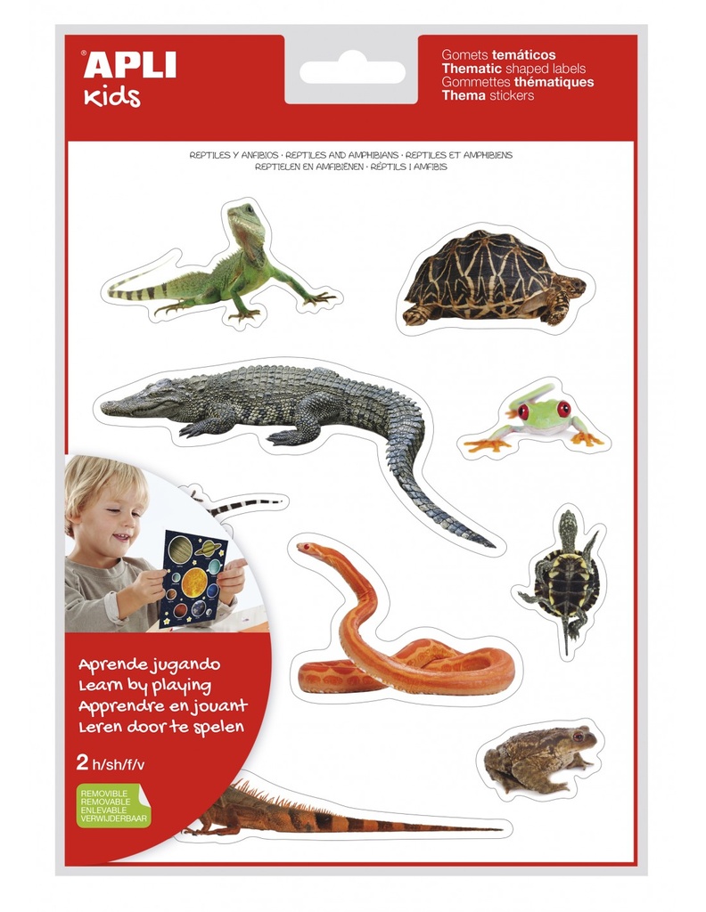 GOMETS REPTIL.Y ANFIB.2H 17632