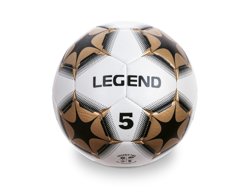 LIBRO BILINGUE TAPA DURA VARIO