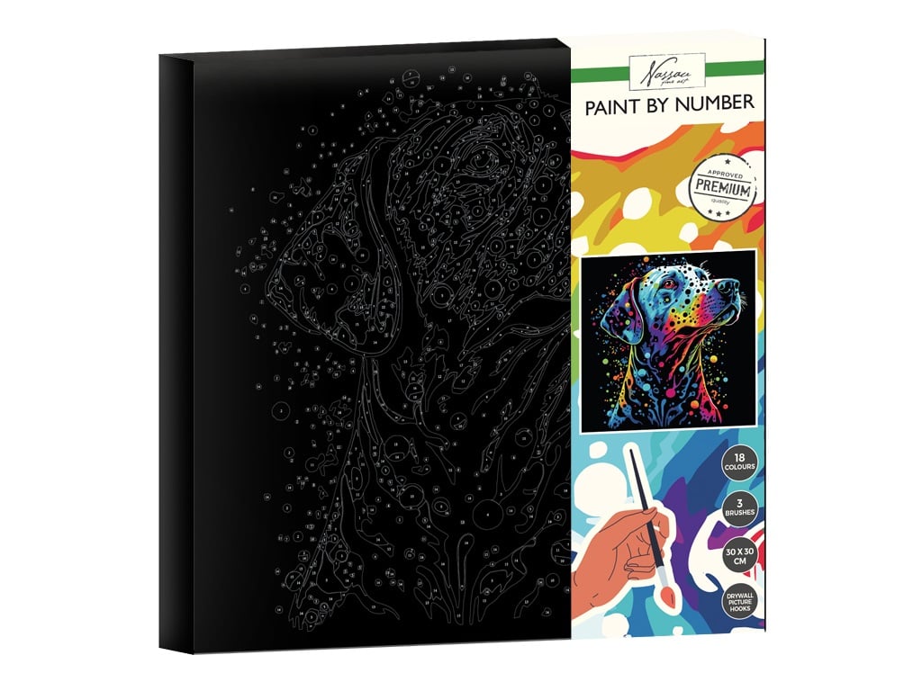 PAINT BY NUMBER BLACK CANVAS AR2021/GE