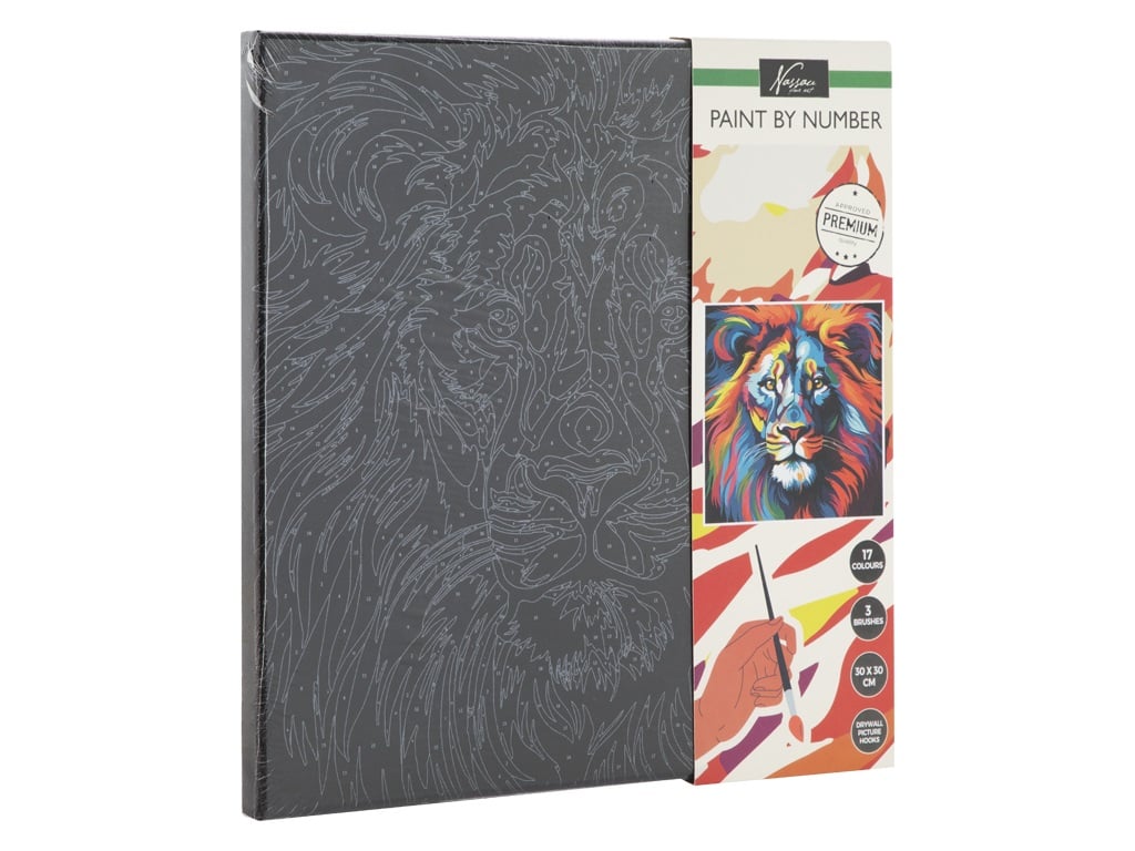 PAINT BY NUMBER BLACK CANVAS AR2023/GE