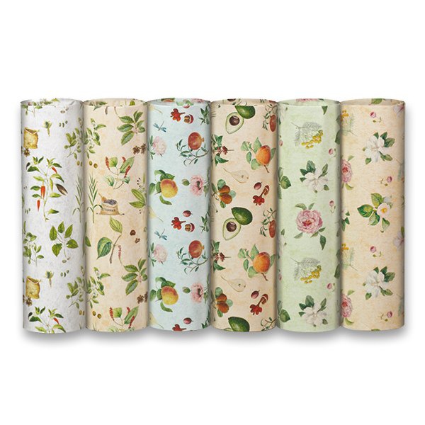 PAPEL REGALO TT BOTANICA 0,70x2MT (50u)