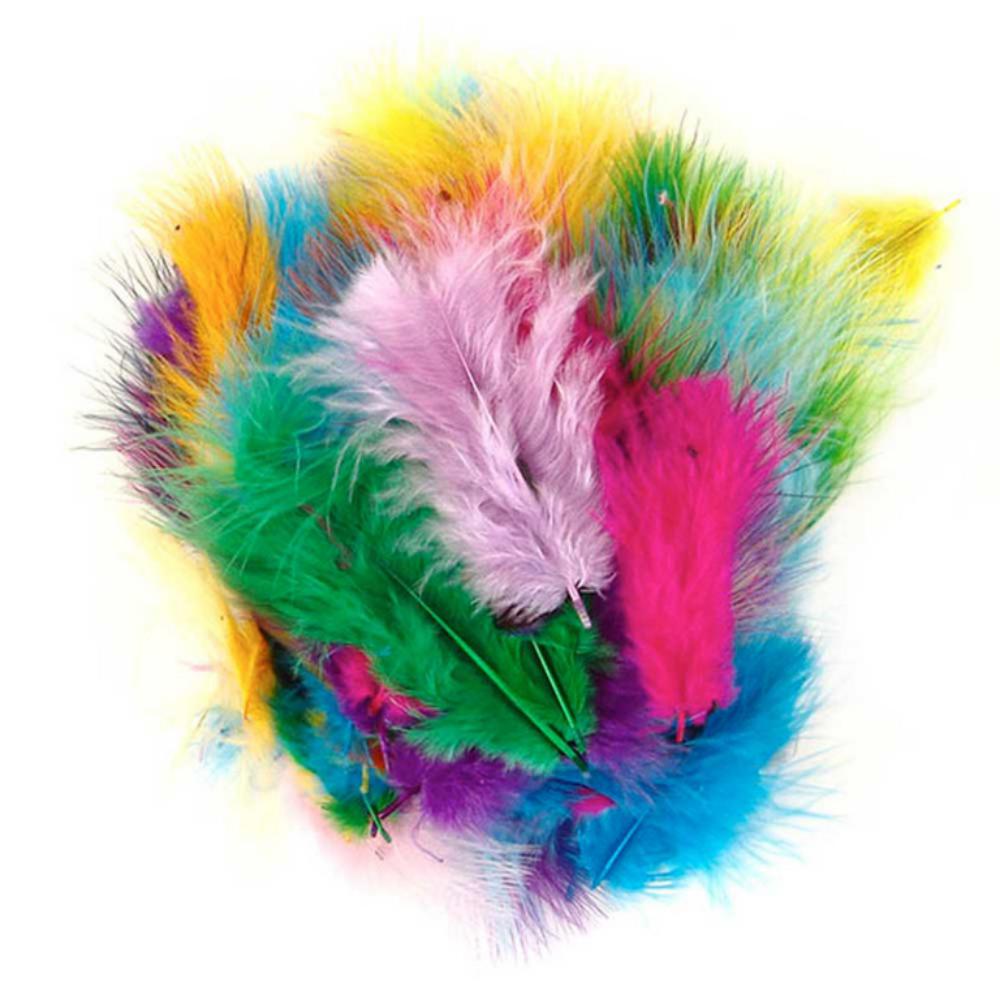 PLUMAS INDIO 6 COL.SURT. /50UD