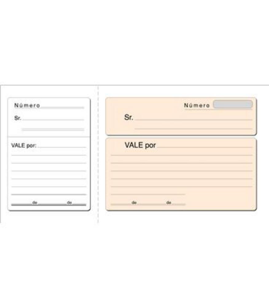 TALONARIOS VALES P.LITOS T-14