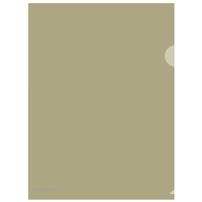 DOSSIER PLUS 2001 Fº ANG.RECTO OCRE