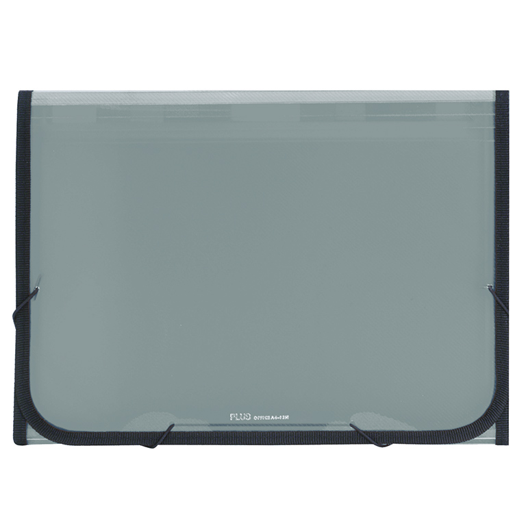 CLASIFICADOR PLUS PP GOMA 12 DEPARTAMENTOS TRASL. GRIS