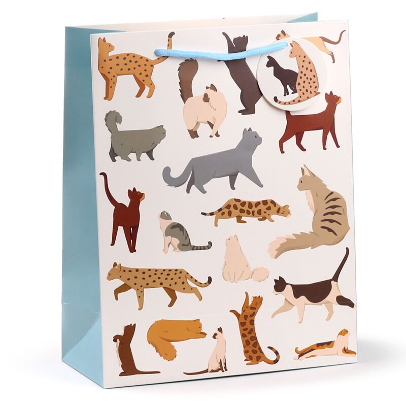 BOLSA DE REGALO GATOS FINE GRANDE
