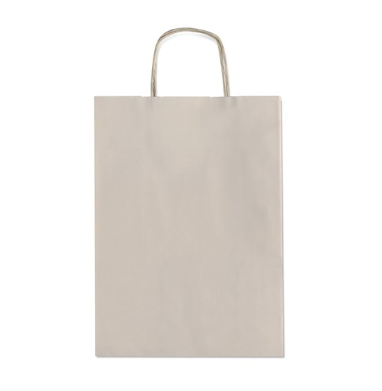 BOLSA ASA 26X12X36 GRIS