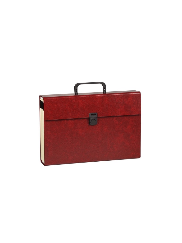 MALETIN ACORDEON ASA FORRADO Fº 20 DPT.BURDEOS CARCHIVO