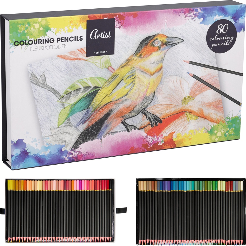 SET 80 LAPICES COLOREAR