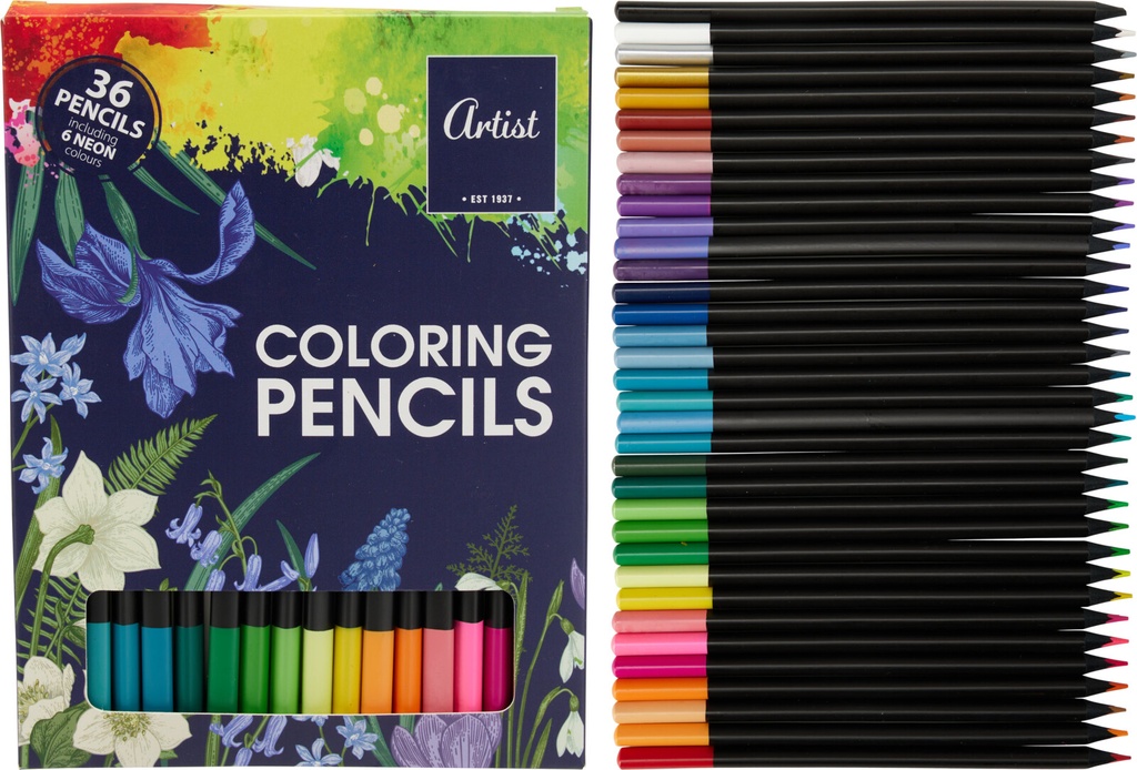 SET 36 LAPICES COLOREAR