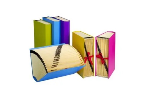 [212272] ACORDEON Fº FORRADO 20DP AMARI