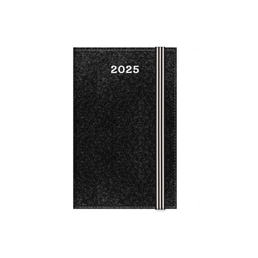 [003545] AGENDA ANUAL 2025 A6 SV GRIS