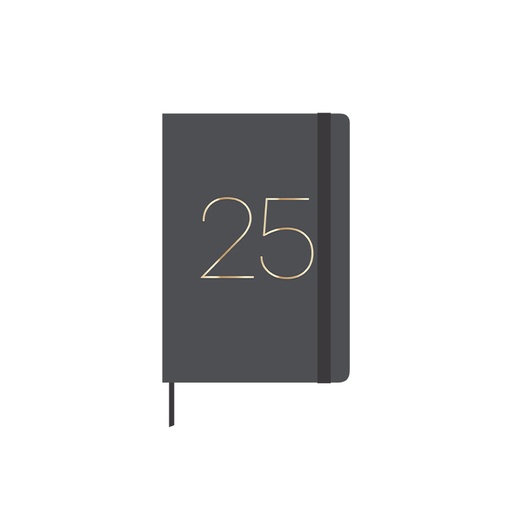 [003541] AGENDA ANUAL 2025 A6 SV GRIS