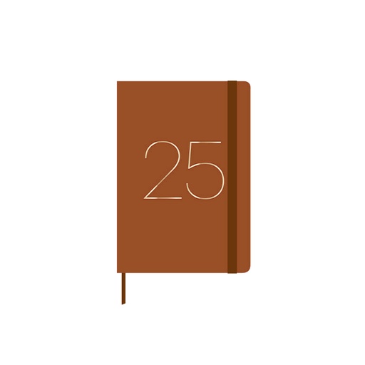 [003539] AGENDA ANUAL 2025 A6 SV NARAN.