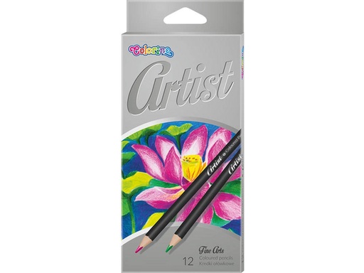 [653069] LAPICES COLOREAR ARTIST 12COL 65498PTR