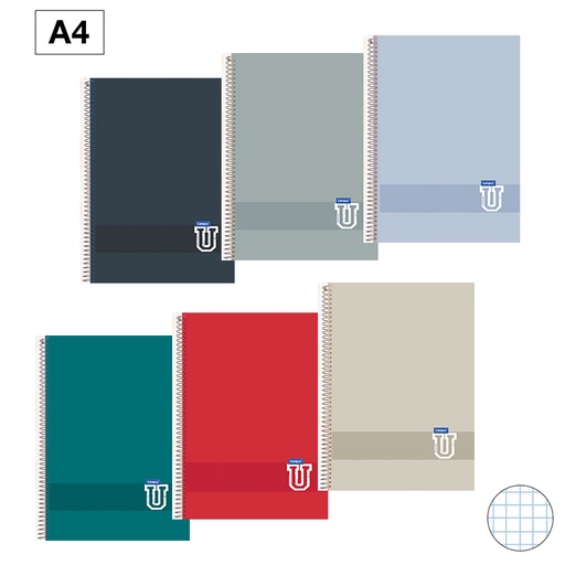 [003325] BLOC ESPIRAL CAMPUS A4 TAPA PLASTICO 80 HOJAS 90G CUADRICULA 4 MM COLORES TENDENCIA