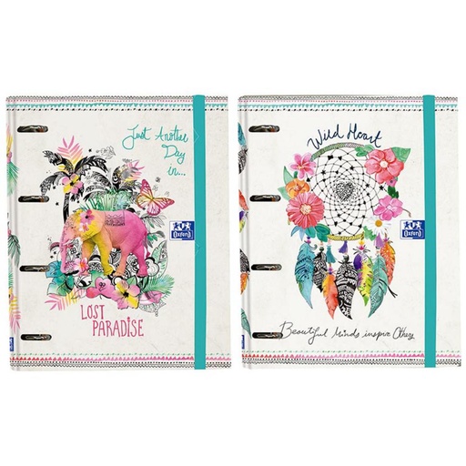 [002809] CARPETA A4 4A-35 REPUES.DREAM