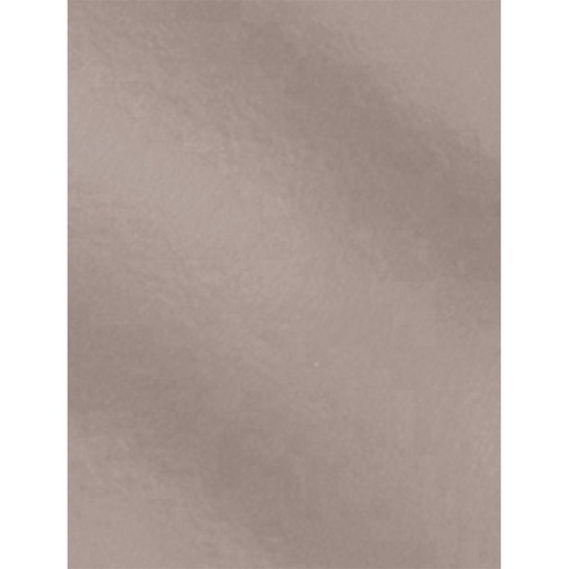 [630400] CARTULINA 50X65 METAL PLATA 10UD
