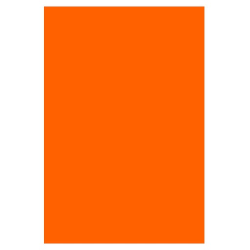 [600119] CARTULINA 50X65 SADIPAL FLU.NJ