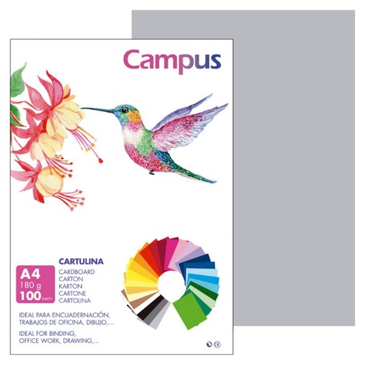 [220422] CARTULINA A4 MAKRO GRIS CLARO 180G 100UD