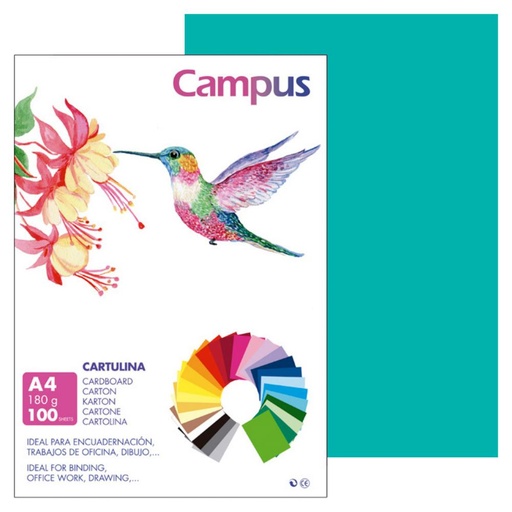 [220573] CARTULINA A4 MAKRO VERDE MENTA 180G 100UD