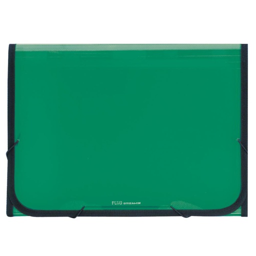 [180706] CLASIFICADOR PP.12DEP.GOMA.TRANS.VERDE