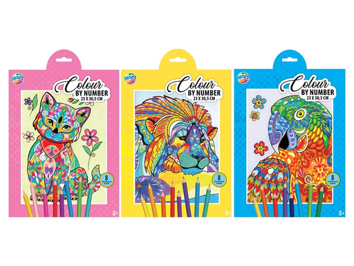 [624311] COLOUR BY NUMBER 150117