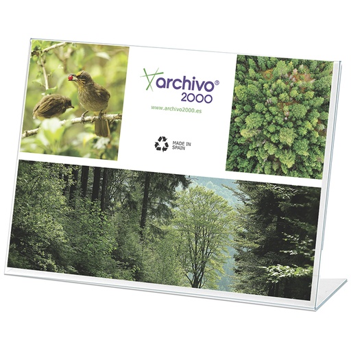 [069219] EXP.MESA 11004 CS TP APAISA.A4