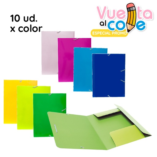 [863229] LOTE CARPETA C/GOMA CARTON Fº