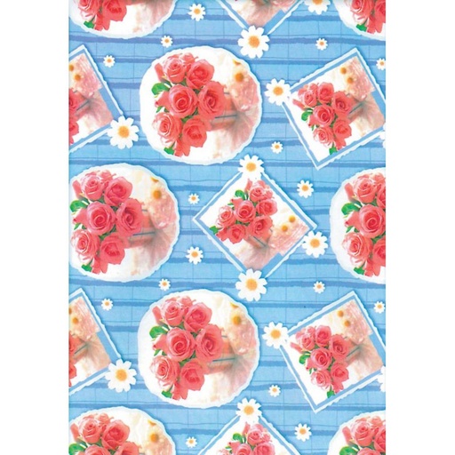 [002040] PAPEL REGALO BOBINA 70CM 02040