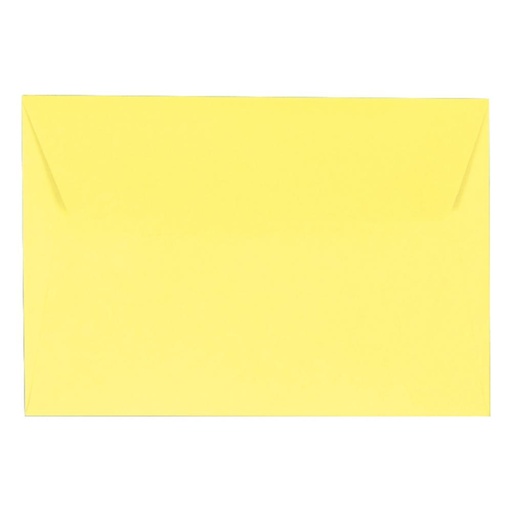 [028879] SOBRE POLLEN 114X162 VAINILLA 20ud