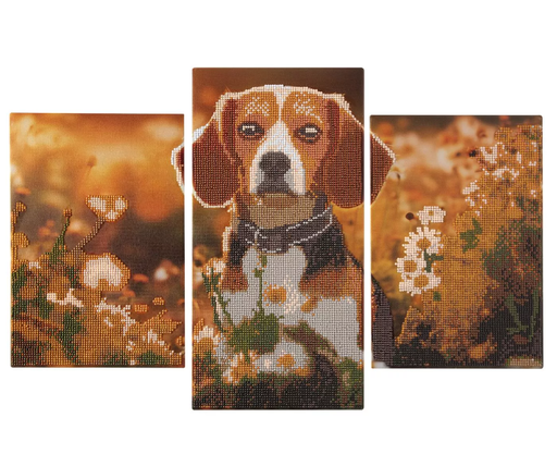 [972592] PINTAR CON DIAMANTES TRIPTICO PERRO