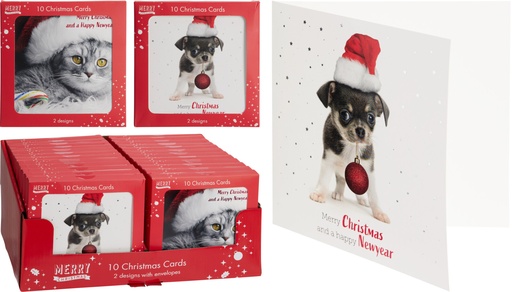 [972782] CHRISTMAS CARD 14X14CM 2ASS DE