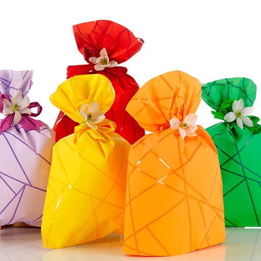 [973352] BOLSA REGALO SEGMENTOS DECORATIVOS 16X25 100UD