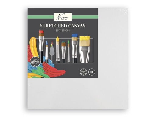 [973547] LIENZO 25X25CM 3UDS